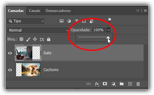 Aumentando o valor de Opacidade de volta para 100%.