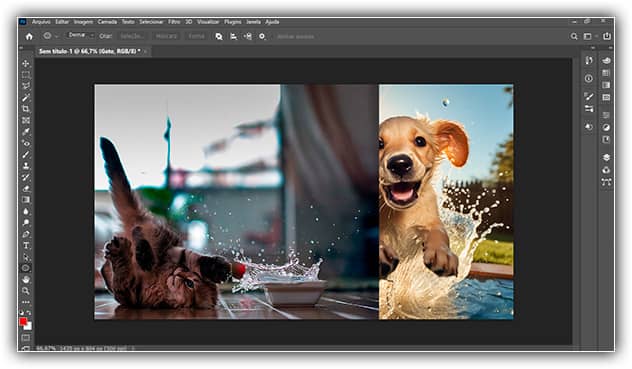Ambas as imagens estão novamente visíveis.