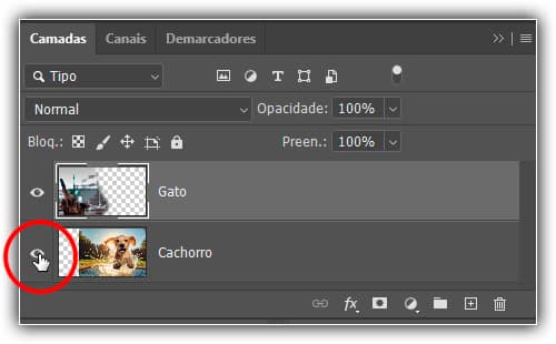 Desativando a camada "Cachorro".