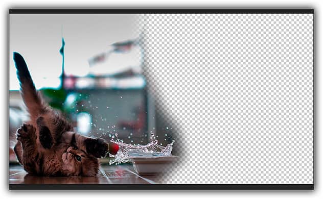 A ferramenta Borracha excluiu permanentemente partes da imagem.