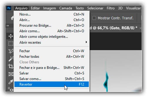 Indo para Arquivo > Reverter.