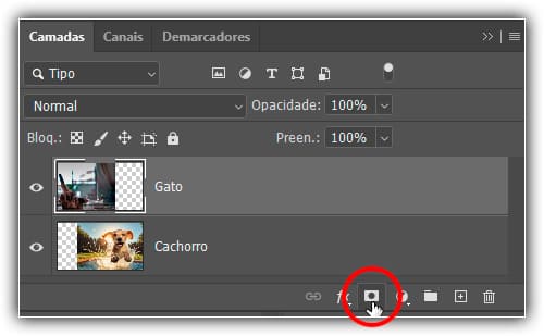 Clique no ícone "Adicionar máscara de camada".