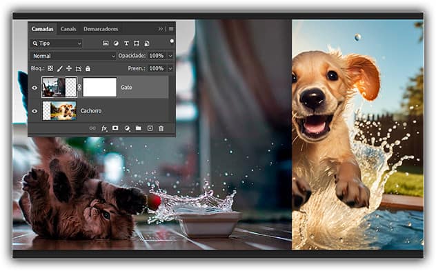 A imagem do gato é 100% visível com a máscara de camada preenchida com branco.