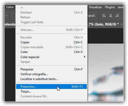 Indo novamente para Editar > Preencher.