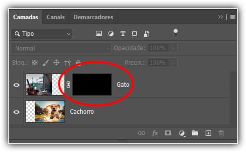 O painel Camadas mostrando a miniatura da máscara preenchida com preto.