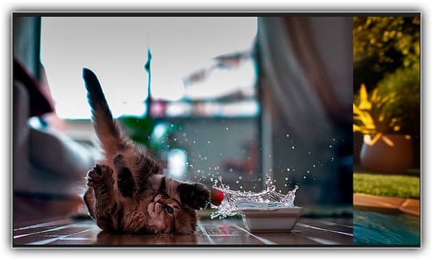 Noções básicas de máscara de camada do Photoshop para iniciantes