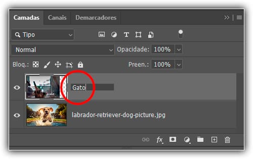 Noções básicas de máscara de camada do Photoshop para iniciantes