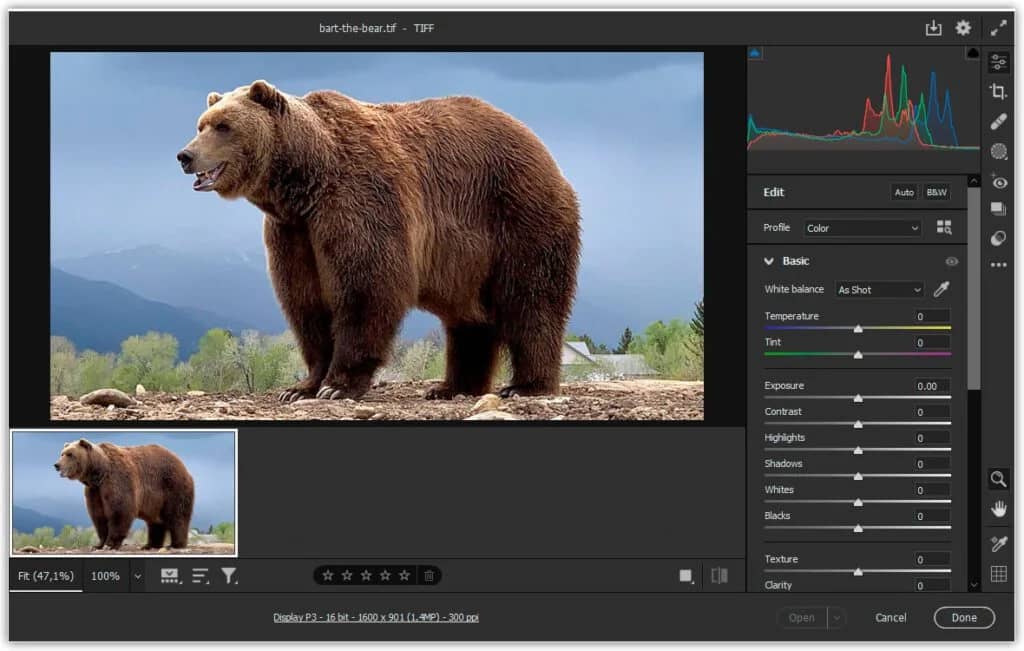 O Adobe Bridge abre o arquivo TIFF no Camera Raw.