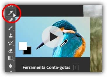 Selecionando a ferramenta Conta-gotas.