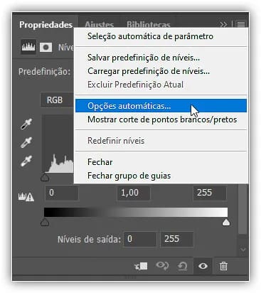 Escolhendo Opções automáticas no menu do painel Propriedades.