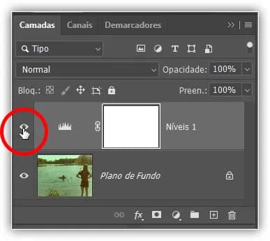 Clicando no ícone de visibilidade da camada para a camada de ajuste de Níveis.
