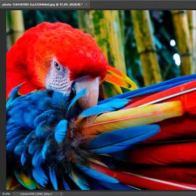 Conhecendo o Photoshop – Aprendendo a Interface