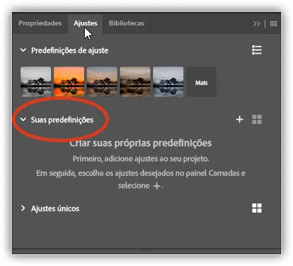 A nova seção Suas predefinições no painel Ajustes.