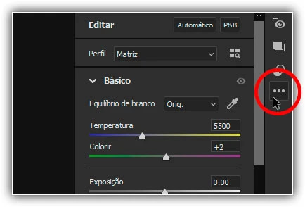 Super resolução no Adobe Camera Raw-Imagens de alto nível