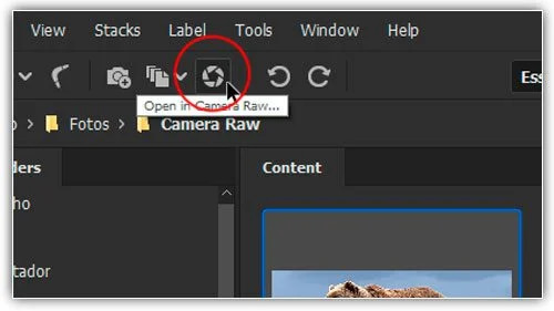 Clicar no ícone "Abrir no Camera Raw".