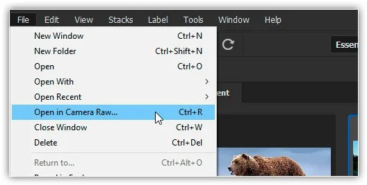 Vá para Arquivo > Abrir no Camera Raw.