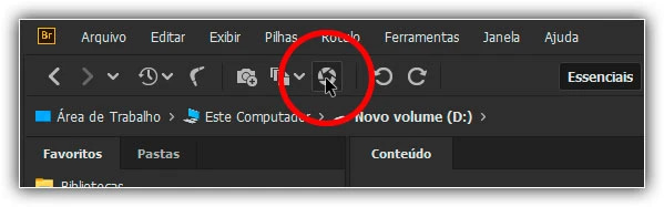 Super resolução no Adobe Camera Raw-Imagens de alto nível