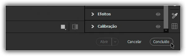Fechando o Camera Raw.