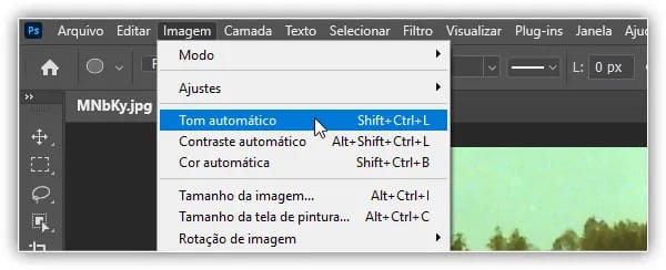 Indo para Imagem> Tom Automático.