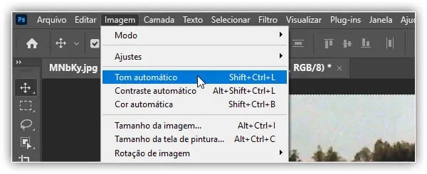 Voltando para Imagem > Tom Automático.