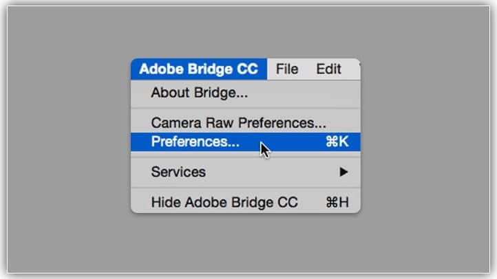 Como baixar fotos da sua câmera com o Adobe Bridge