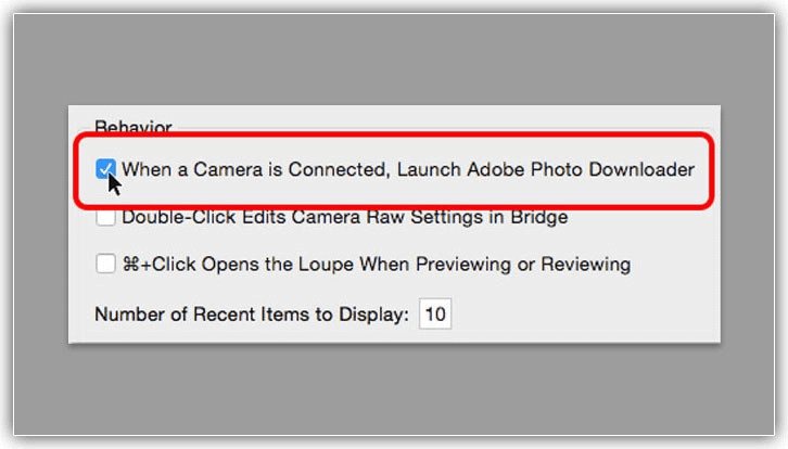 Como baixar fotos da sua câmera com o Adobe Bridge