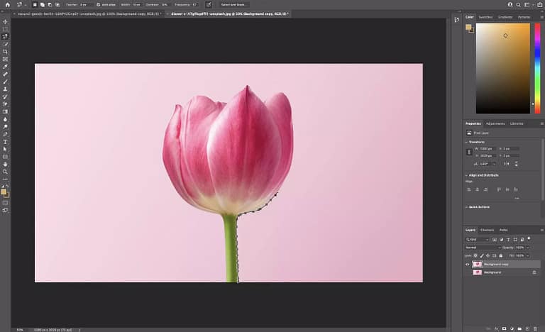 Remova um plano de fundo no Photoshop com a Magnetic Lasso Tool