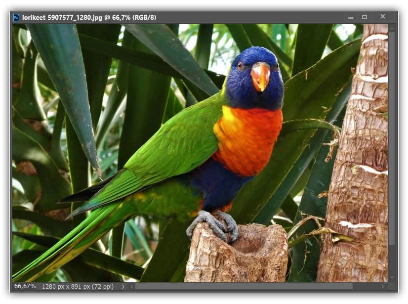 RGB e canais de cores no Photoshop explicados