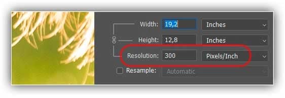 resolução atual, medida em pixels/polegada.