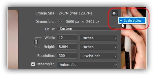 Ative Estilos de escala para redimensionar os efeitos da camada com a imagem.
