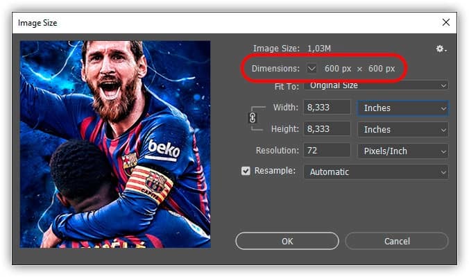 A seção Pixel Dimensions nos mostra a largura e a altura em pixels.
