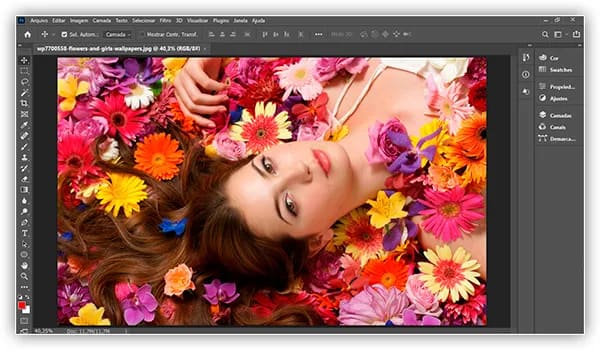 Configurações do Painel de Camadas Essenciais
