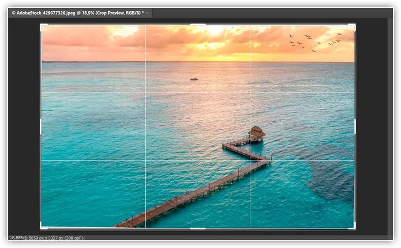 Solte Ctrl (Win) / Command (Mac) para retornar à ferramenta Crop.