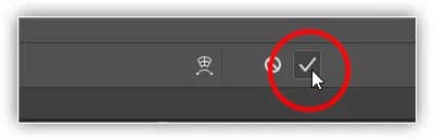 Clicando na marca de seleção.