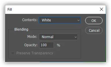 Indo para Editar > Preencher e, em seguida, alterar Usar para Branco.