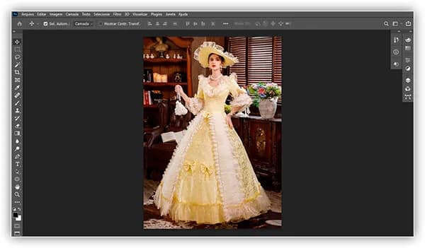 A imagem que será colocada dentro do quadro.