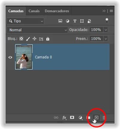 Clicando no ícone Nova Camada.
