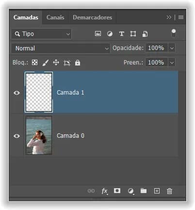 O painel Camadas mostrando a nova camada em branco.