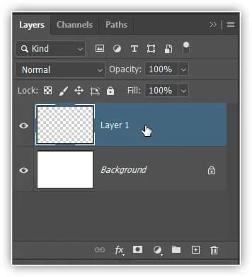 Uma nova camada em branco chamada "Layer 1" aparece acima da camada Background.