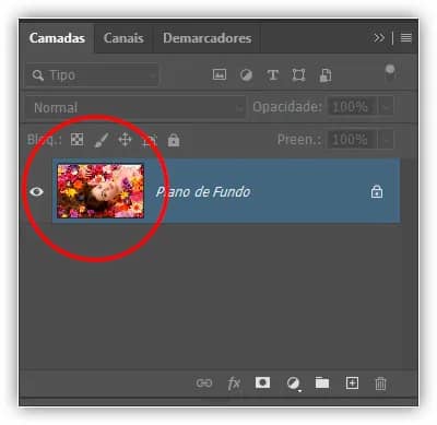 Configurações do Painel de Camadas Essenciais