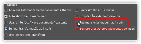 A opção "Redimensionar imagem durante o posicionamento".