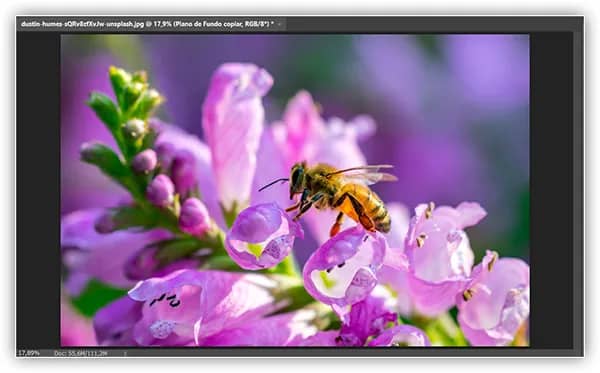 A imagem original reaparece no documento.