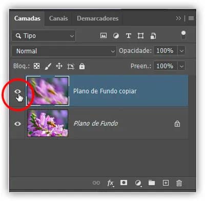 O ícone de visibilidade da camada aparece vazio quando uma camada é desativada.