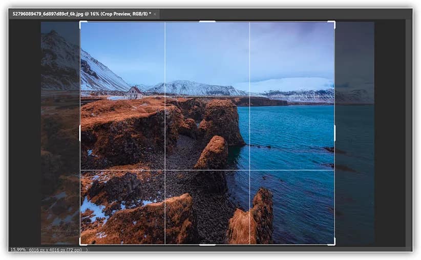 Cortar a imagem para um tamanho de impressão de 16 x 14 polegadas.