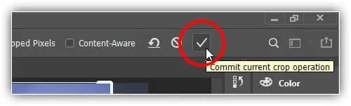 Corte a imagem clicando na marca de seleção.