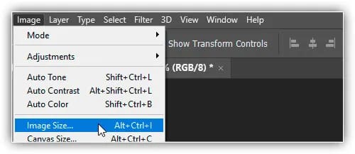 Indo para Imagem > Tamanho da imagem.