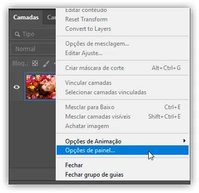 Configurações do Painel de Camadas Essenciais