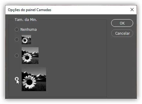 Escolhendo o tamanho da miniatura Grande.
