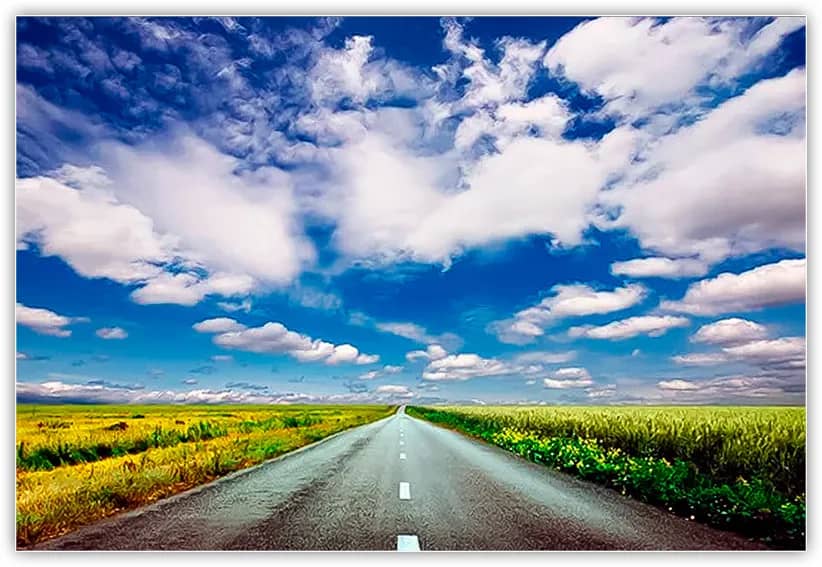 A imagem endireitada e cortada.