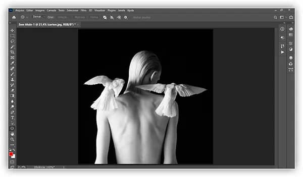 Abrir várias imagens como camadas no Photoshop